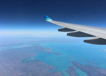 wing-221524_1920 wing-221524_1920